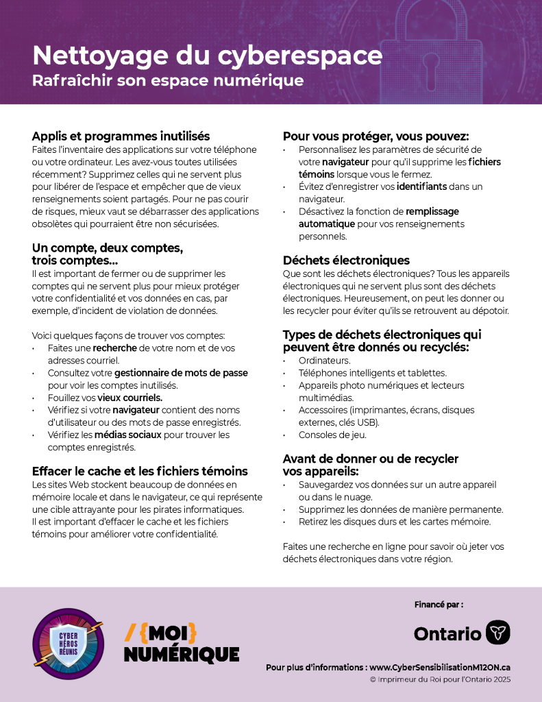 Image de la fiche d'information intitulée « Nettoyage du cyberespace »